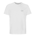 Light green t-shirt with 'Aretis' logo on a white background